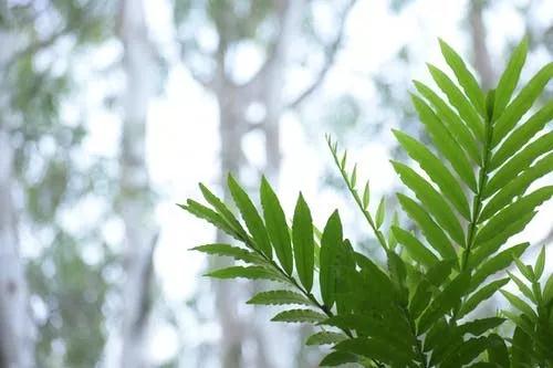 秋渐深，珍重