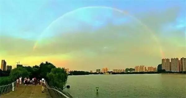 【美文欣赏】寂静的相遇