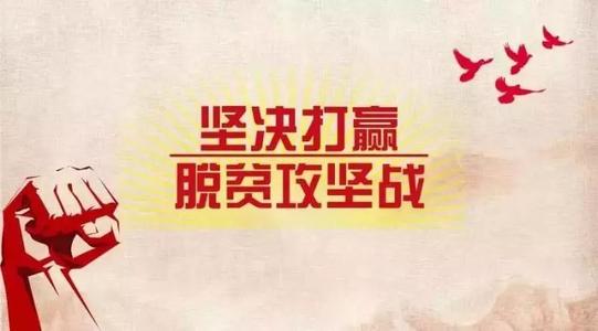关于全面建成小康社会、打赢脱贫攻坚战在市农业农村局党组(扩大)会议上的讲话