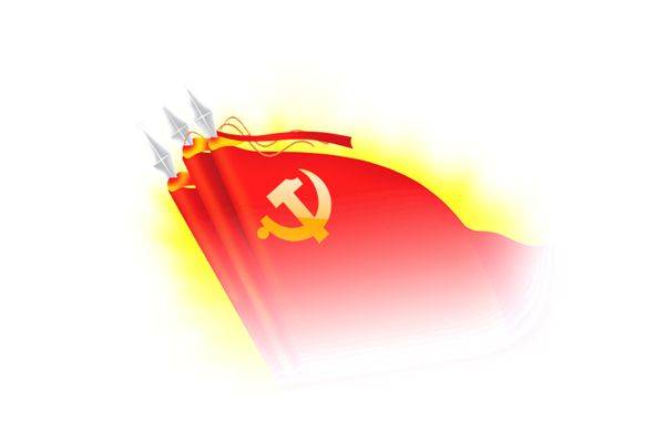 基层党支部换届材料精选