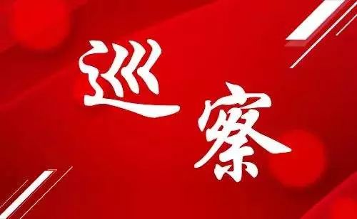 区委巡察组工作报告