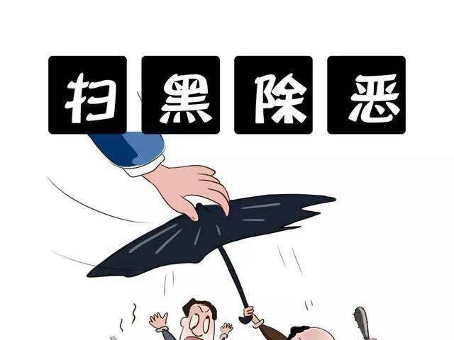 2020年开展扫黑除恶专项斗争活动发言稿