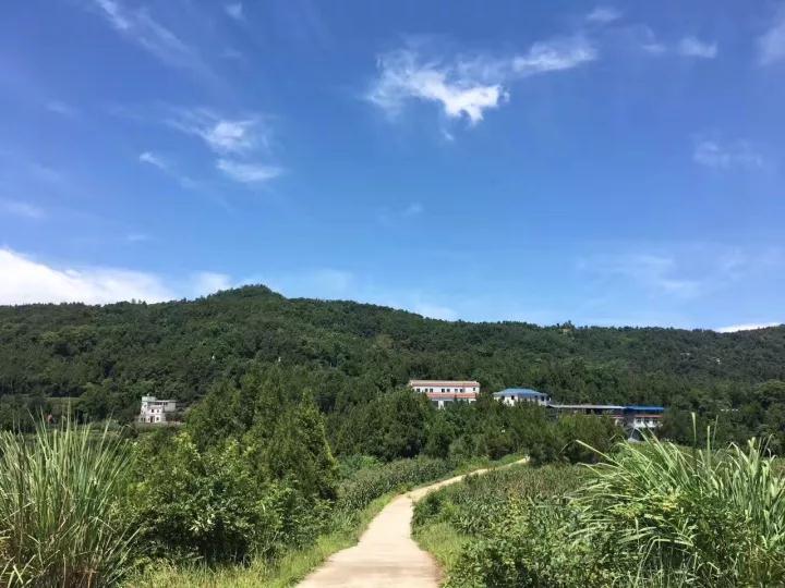 【散文精选】 归隐南山，采菊东篱