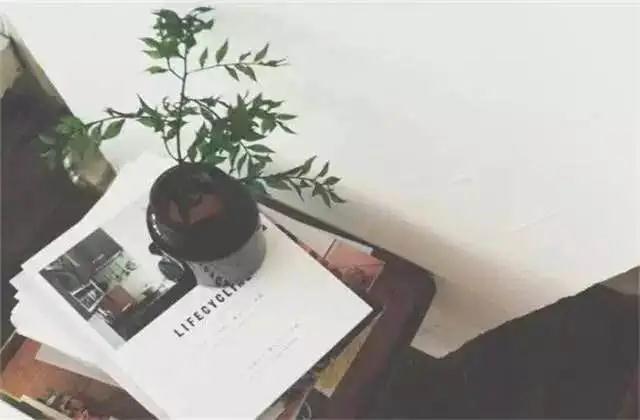 美文欣赏：生命的酸甜苦辣!