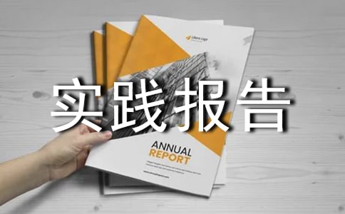 大学生2020寒假社会实践报告范文