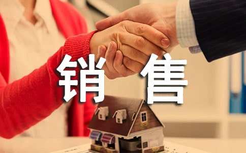 公司销售员上半年总结范文