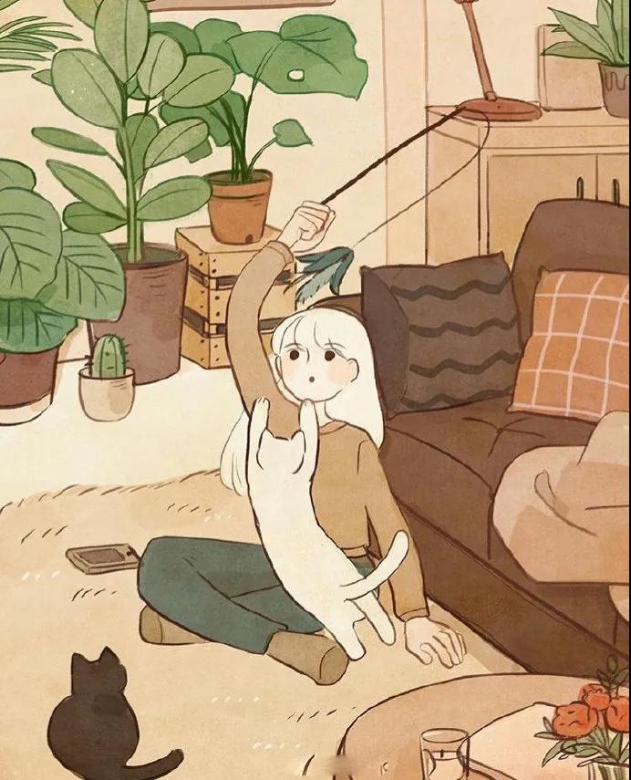 人生随其然，生活何其烦