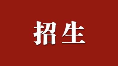 关于农村的小学招生方案2篇