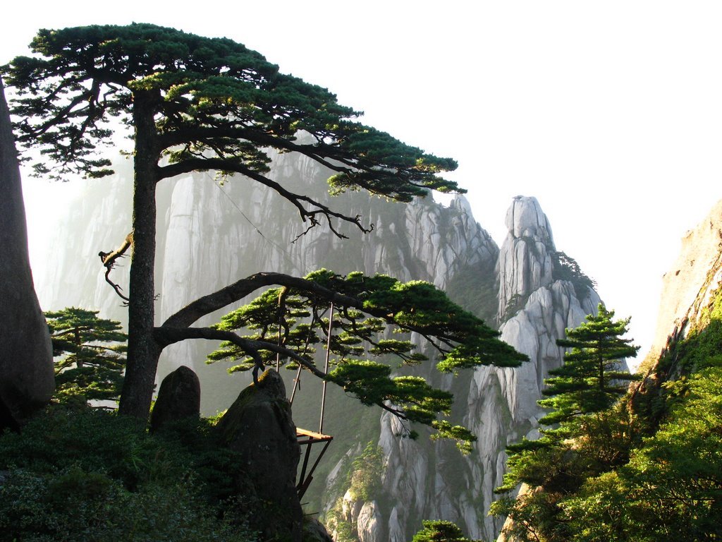 梦回庐山(庐山情书)