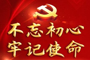 不忘初心教育党员个人评价