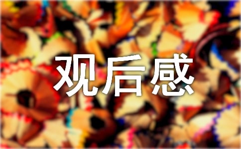 2020同学你好网络直播观后感五篇