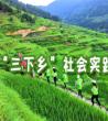 三下乡社会实践报告_社会实践三下乡报告