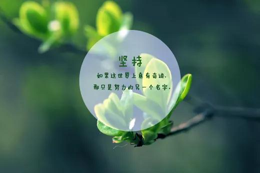 2020新生军训个人心得精选