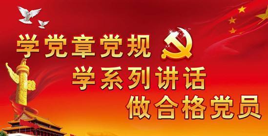 公司"两学一做"党建工作总结