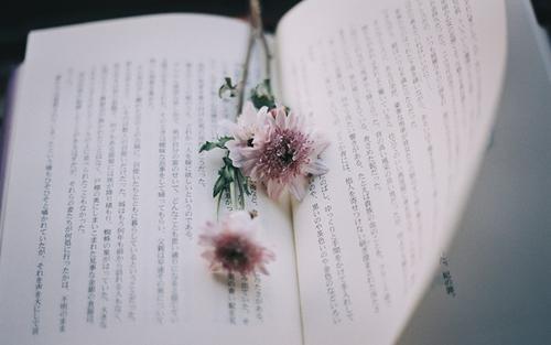 《我的书屋我的梦》征文作文五篇精选