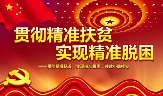 扶贫工作心得和感悟,精准扶贫工作心得体会