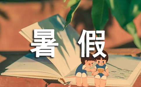 实践报告大学生暑假总结
