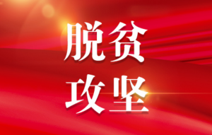 2020年脱贫攻坚作文精选五篇