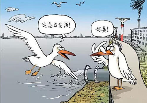 有关水污染的社会实践调查报告