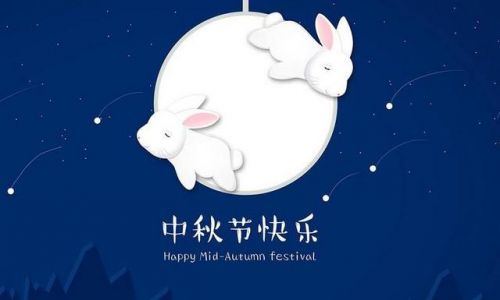 2020年中秋节赏月的作文500字五篇