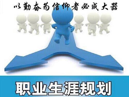 精选2020大学生个人职业生涯发展规划