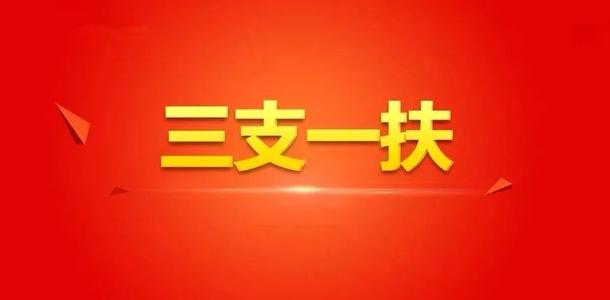 三支一扶工作总结范文精选