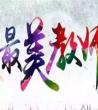 最美教师事迹材料_感动中国最美教师事迹材料