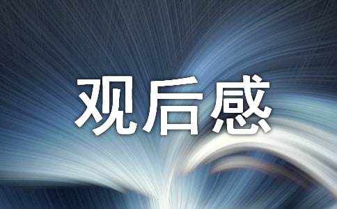 观看新时代最可爱的人心得感悟