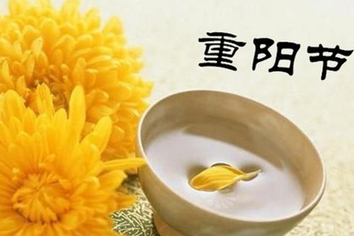 关于重阳节的作文800字五篇