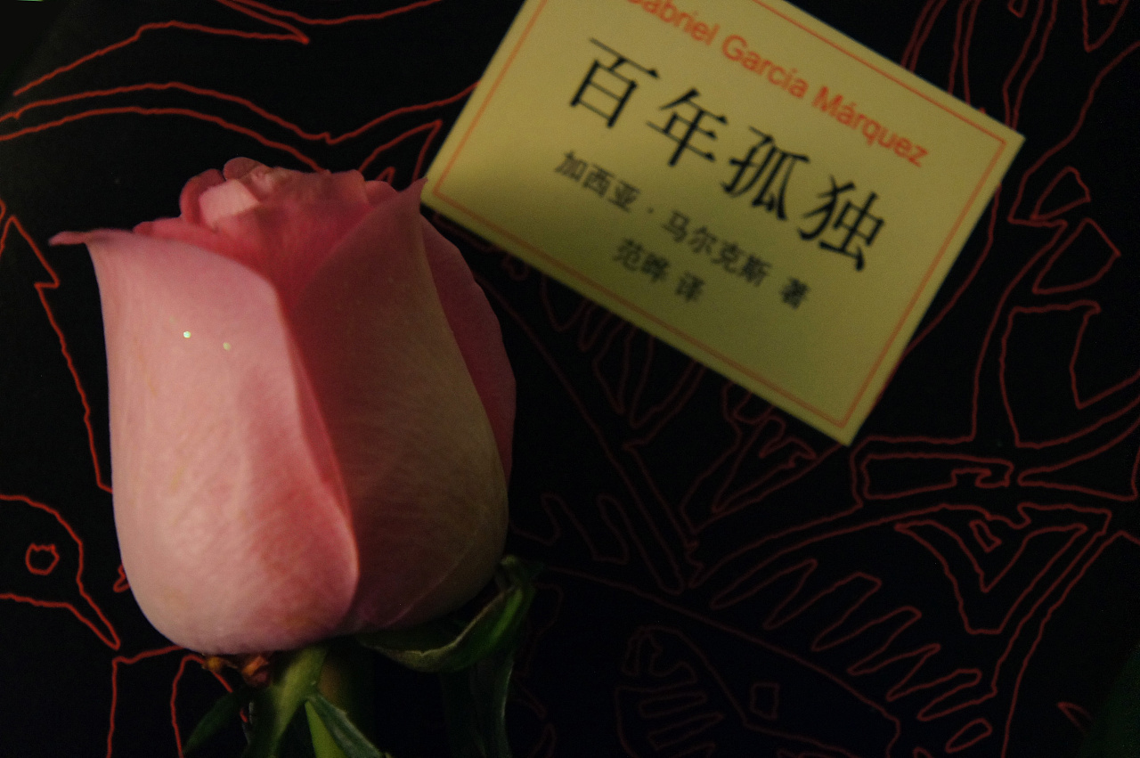 读《百年孤独》心得感悟
