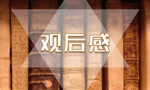 2020特别节目开学第一课感悟