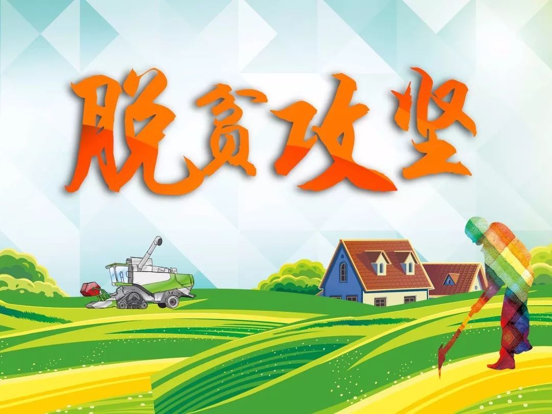 2020乡村脱贫攻坚，帮扶领导讲话稿