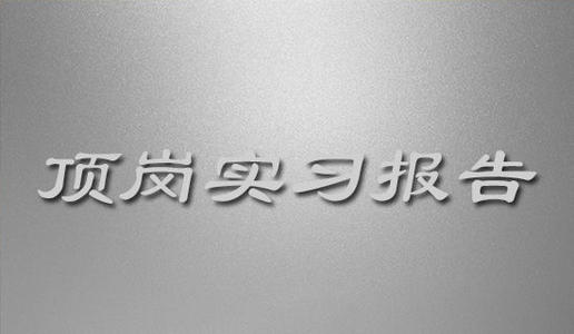 大学毕业实习总结报告