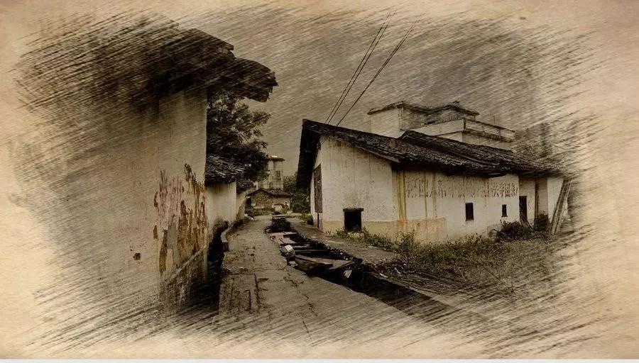 在安静中，不慌不忙地坚强