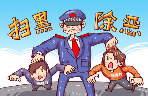  扫黑除恶专项行动工作总结 