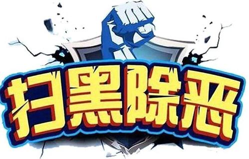 市公安局扫黑除恶专项行动总结