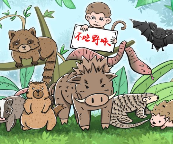 拒绝野味从我做起演讲稿5篇