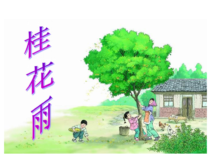 语文教学反思工作总结【桂花雨】
