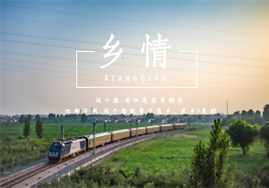 关于乡情的作文五篇