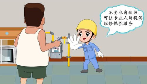 室内燃气安全检查工作方案