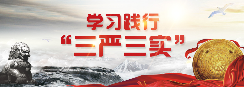 2020“三严三实”主题教育