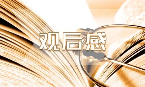 2020祖国在我心中观后心得个人感悟