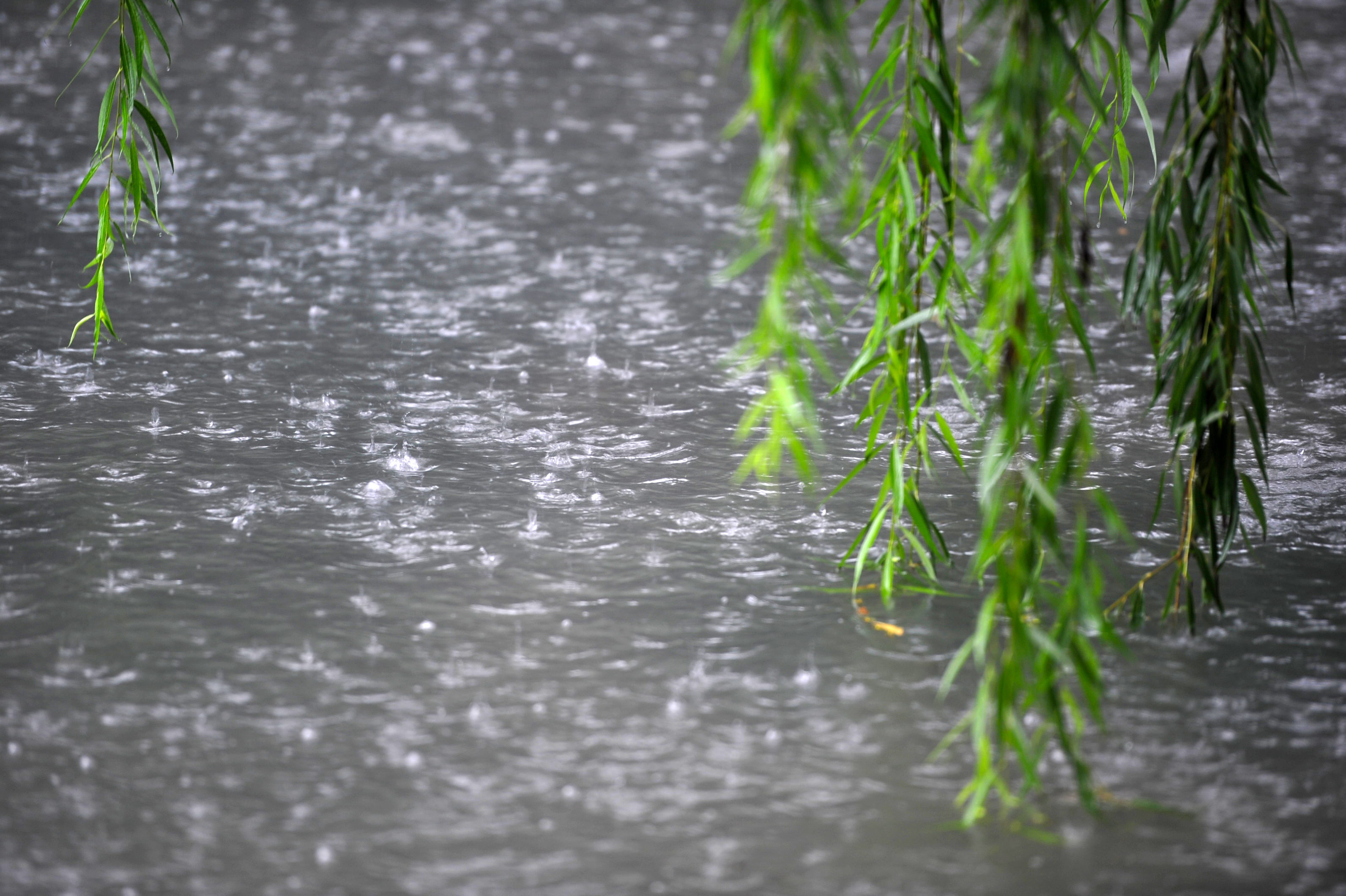 关于一场暴风雨话题作文