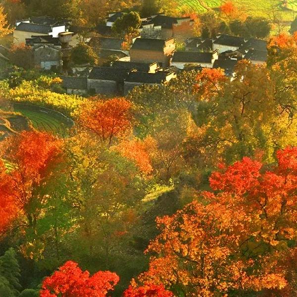 散文：秋天的小河