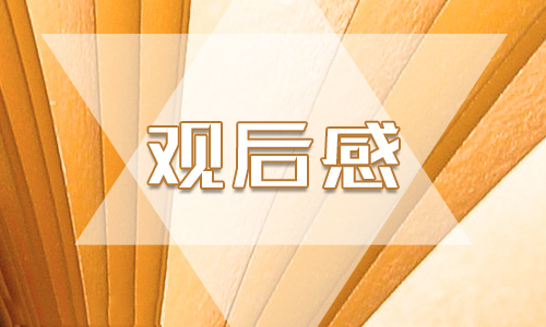 萨利机长观后感合集