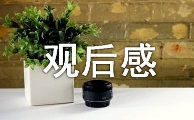 我的前半生观后感范文五篇