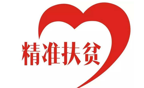 精准扶贫工作进展情况汇报