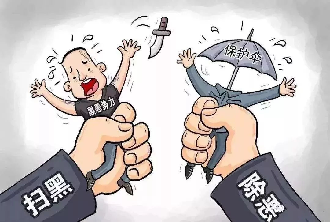 县级扫黑除恶年度总结