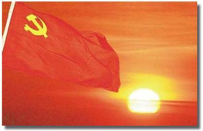 公司职员党员申请转正