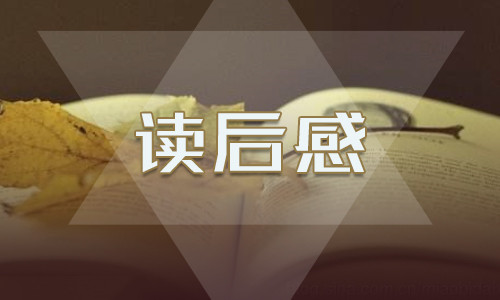 解忧杂货店读书心得